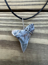 Load image into Gallery viewer, 1 11/16 inch Fossilized Angustiden Shark Tooth Necklace
