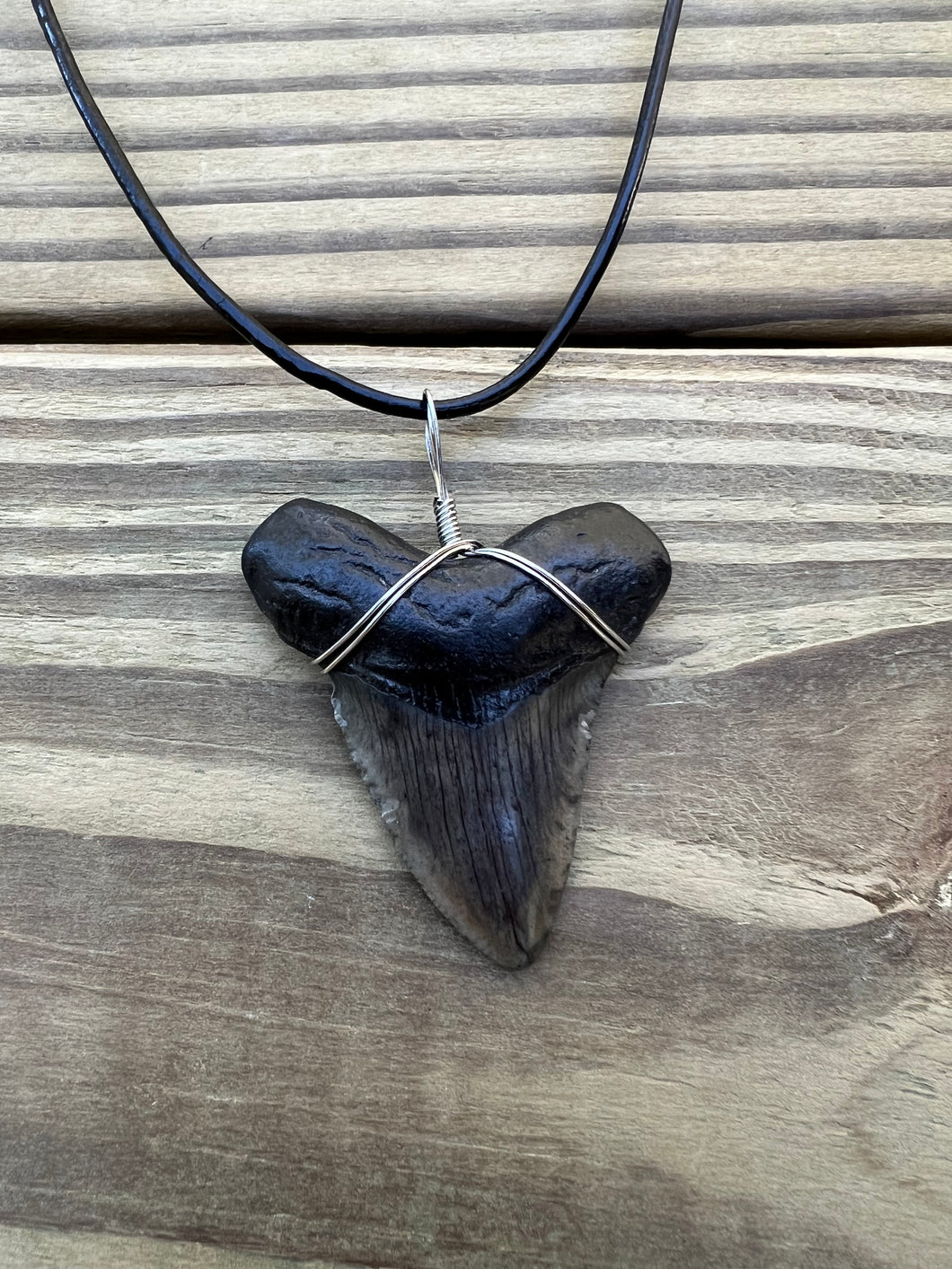 1 15/16 inch Fossil Megalodon Shark Tooth Necklace