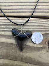 Load image into Gallery viewer, 1 15/16 inch Fossil Megalodon Shark Tooth Necklace
