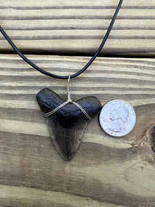 1 15/16 inch Fossil Megalodon Shark Tooth Necklace