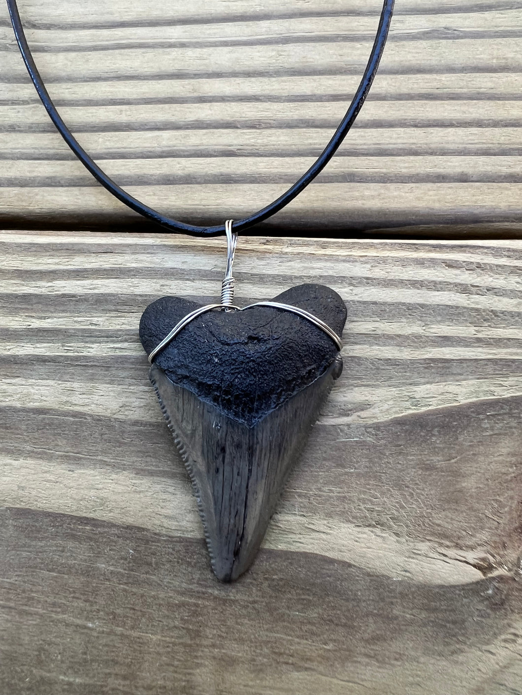 2 inch Fossil Megalodon Shark Tooth Necklace