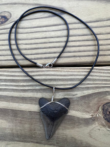 2 inch Fossil Megalodon Shark Tooth Necklace