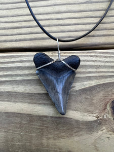 2 inch Fossil Megalodon Shark Tooth Necklace