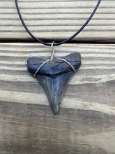 Load image into Gallery viewer, 2 inch Fossilized Angustiden Shark Tooth Necklace
