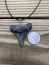 Load image into Gallery viewer, 2 inch Fossilized Angustiden Shark Tooth Necklace
