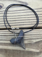 Load image into Gallery viewer, 2 inch Fossilized Angustiden Shark Tooth Necklace
