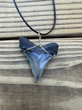 Load image into Gallery viewer, 2 inch Fossilized Angustiden Shark Tooth Necklace
