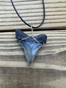 2 inch Fossilized Angustiden Shark Tooth Necklace