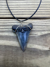 Load image into Gallery viewer, 2 1/16 inch Fossil Angustiden Shark Tooth Necklace
