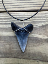 Load image into Gallery viewer, 2 1/16 inch Fossil Angustiden Shark Tooth Necklace
