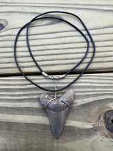 Load image into Gallery viewer, 2 1/8 inch Fossil Angustiden Shark Tooth Necklace
