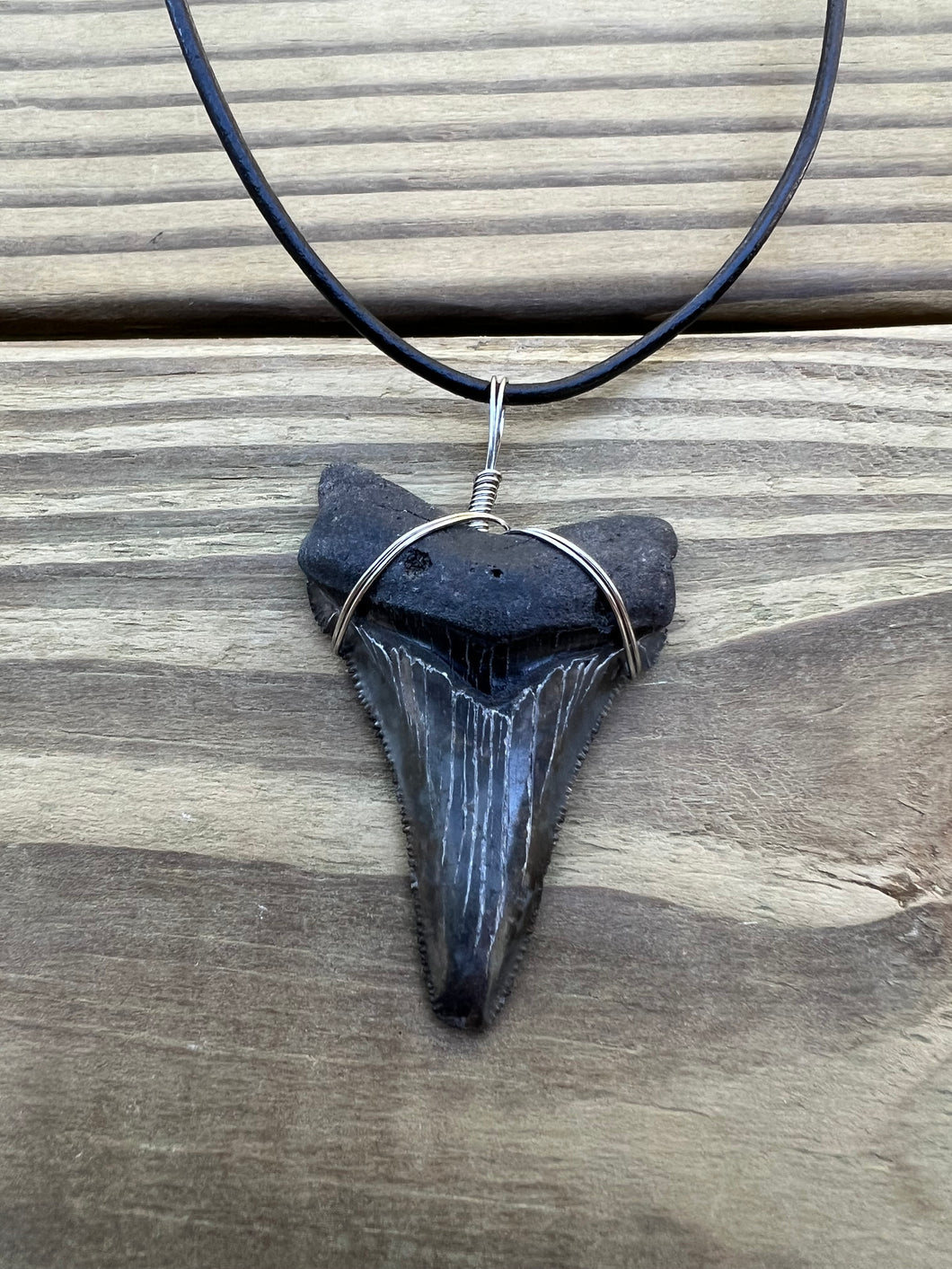 2 inch Fossil Angustiden Shark Tooth Necklace