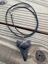 Load image into Gallery viewer, 2 inch Fossil Angustiden Shark Tooth Necklace
