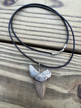 Load image into Gallery viewer, 2 1/16 inch Fossilized Angustiden Shark Tooth Necklace
