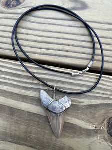 2 1/16 inch Fossilized Angustiden Shark Tooth Necklace