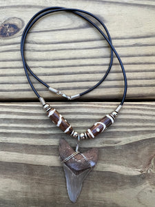 2 inch Fossil Angustiden Shark Tooth Necklace With Brown and White Beads