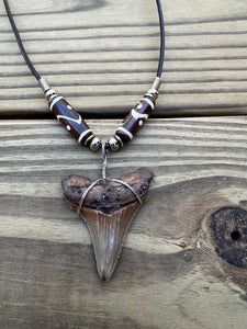 1 7/8 inch Fossil Angustiden Shark Tooth Necklace With Brown and White Beads