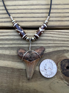 1 7/8 inch Fossil Angustiden Shark Tooth Necklace With Brown and White Beads