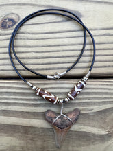 Load image into Gallery viewer, 1 7/8 inch Fossil Angustiden Shark Tooth Necklace With Brown and White Beads
