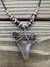 Load image into Gallery viewer, 1 7/8 inch Fossil Angustiden Shark Tooth Necklace With Brown and White Beads
