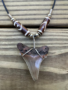 1 7/8 inch Fossil Angustiden Shark Tooth Necklace With Brown and White Beads