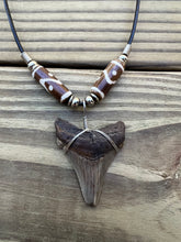 Load image into Gallery viewer, 1 13/16 inch Fossil Angustiden Shark Tooth Necklace With Brown and White Beads
