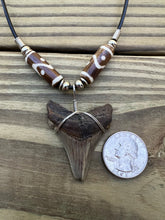 Load image into Gallery viewer, 1 13/16 inch Fossil Angustiden Shark Tooth Necklace With Brown and White Beads
