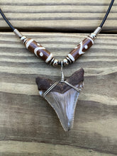 Load image into Gallery viewer, 1 13/16 inch Fossil Angustiden Shark Tooth Necklace With Brown and White Beads
