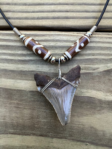 1 13/16 inch Fossil Angustiden Shark Tooth Necklace With Brown and White Beads