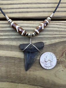 1 13/16 inch Fossilized Mako Shark Tooth Necklace With Brown and White Beads