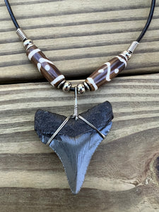 1 3/4 inch Fossil Megalodon Shark Tooth Necklace With Brown and White Beads