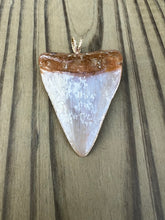 Load image into Gallery viewer, 2 3/16 Inch Polished Great White Shark Tooth Pendant
