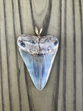 Load image into Gallery viewer, 2 5/16 Inch Polished Great White Shark Tooth Pendant
