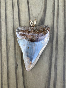 2-5/16 Inch Polished Great White Shark Tooth Pendant