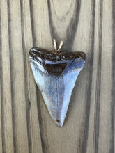 Load image into Gallery viewer, 2 1/4 Inch Polished Great White Shark Tooth Pendant
