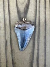 Load image into Gallery viewer, 1 13/16 Inch Polished Great White Shark Tooth Pendant
