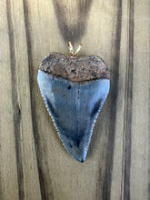 Load image into Gallery viewer, 1 13/16 Inch Polished Great White Shark Tooth Pendant
