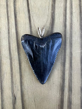 Load image into Gallery viewer, 1-3/4 Inch Polished Great White Shark Tooth Pendant
