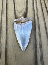 Load image into Gallery viewer, 1 3/4 Inch Polished Great White Shark Tooth Pendant
