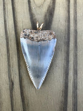 Load image into Gallery viewer, 1 3/4 Inch Polished Great White Shark Tooth Pendant
