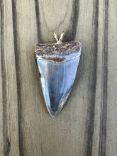 Load image into Gallery viewer, 1 9/16 Inch Polished Great White Shark Tooth Pendant
