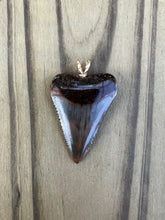 Load image into Gallery viewer, 1 3/8 Inch Polished Great White Shark Tooth Pendant
