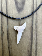 Load image into Gallery viewer, Plain Large White Shark Tooth Necklace
