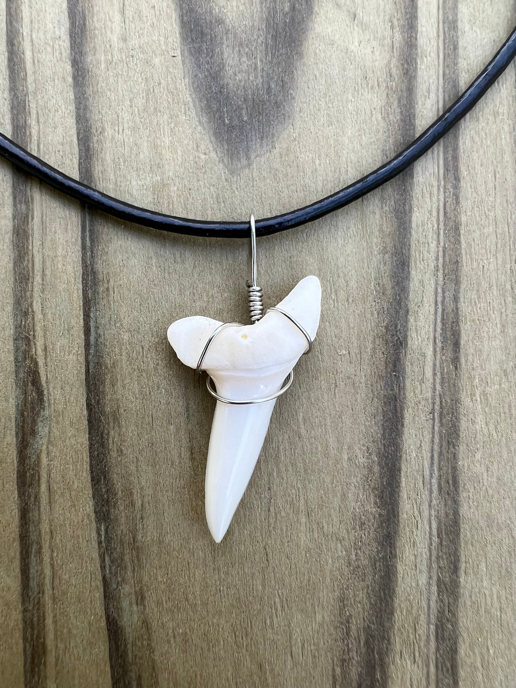 Plain Large White Shark Tooth Necklace