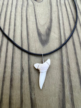 Load image into Gallery viewer, Plain Large White Shark Tooth Necklace
