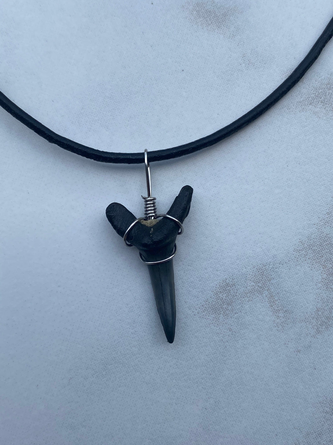 Plain Sandshark Tooth Necklace