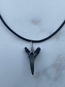 Plain Sandshark Tooth Necklace