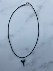 Plain Sandshark Tooth Necklace