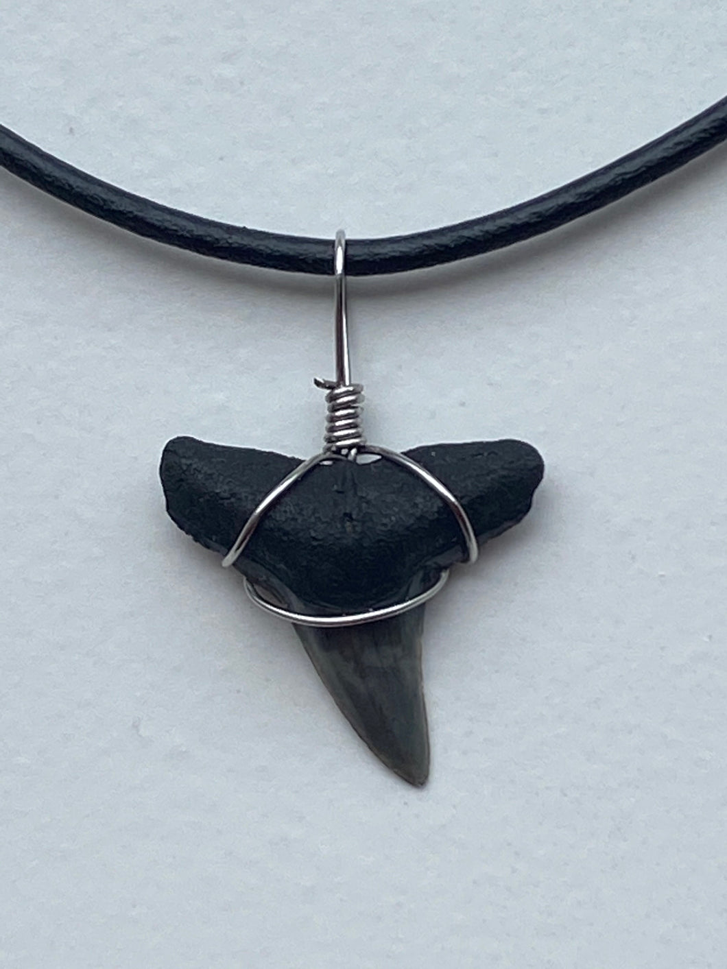 Plain Shark Tooth Necklace