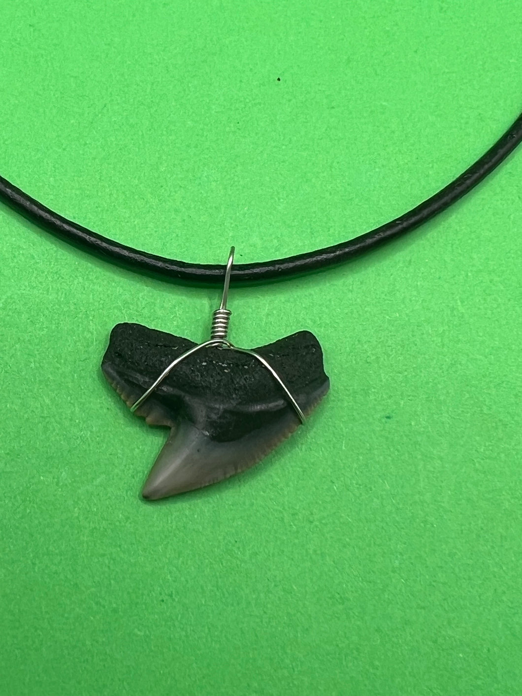 Fossil shark tooth on sale necklace